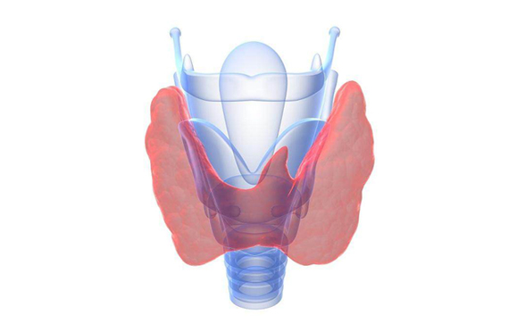 碘元素與甲狀腺不得不說的那些事兒