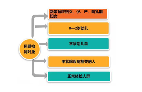 為什么要測碘？測碘的重要性有哪些？